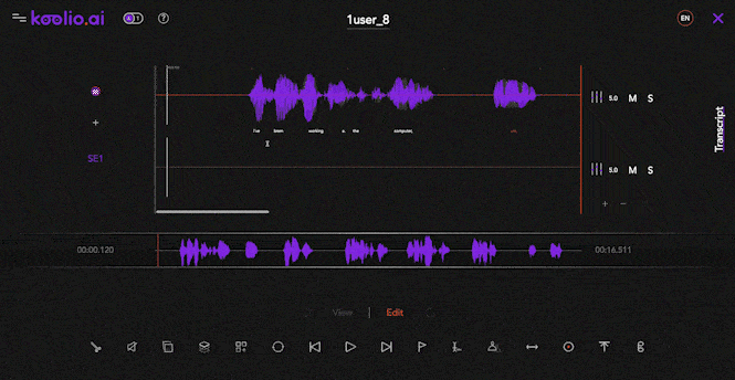 Accurate Transcription